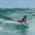 Got Barreled surf photos Duranbah Beach (D-bah) by Richard Goldner