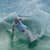 Got Barreled surf photos Duranbah Beach (D-bah) by Richard Goldner