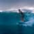 Got Barreled surf photos Duranbah Beach (D-bah) by Simon Garrett