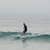 Got Barreled surf photos The Pass by Adar Wallerstein