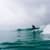 Got Barreled surf photos Greenmount by Drift Collective