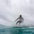 Got Barreled surf photos Greenmount by Drift Collective
