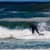 Got Barreled surf photos North Wall by Cristopher  Jones