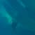 Got Barreled surf photos Duranbah Beach (D-bah) by Simon Garrett