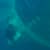 Got Barreled surf photos Duranbah Beach (D-bah) by Simon Garrett