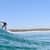 Got Barreled surf photos Duranbah Beach (D-bah) by Rami Lomba