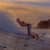 Got Barreled surf photos Snapper Rocks by Simon Garrett