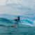 Got Barreled surf photos Snapper Rocks by Simon Garrett