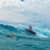 Got Barreled surf photos Snapper Rocks by Simon Garrett