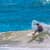 Got Barreled surf photos Burleigh Heads by Simon Garrett