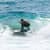 Got Barreled surf photos Burleigh Heads by Dorian Demdoum