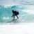 Got Barreled surf photos Burleigh Heads by Dorian Demdoum