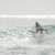 Got Barreled surf photos Snapper Rocks by Dorian Demdoum