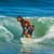 Got Barreled surf photos Duranbah Beach (D-bah) by Richard Goldner