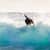 Got Barreled surf photos Snapper Rocks by Samuel Rashleigh