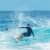 Got Barreled surf photos Snapper Rocks by Simon Garrett