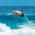 Got Barreled surf photos Snapper Rocks by Simon Garrett
