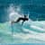 Got Barreled surf photos Duranbah Beach (D-bah) by Dorian Demdoum