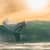 Got Barreled surf photos Snapper Rocks by Simon Garrett