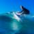 Got Barreled surf photos Duranbah Beach (D-bah) by Simon Garrett