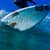 Got Barreled surf photos Duranbah Beach (D-bah) by Simon Garrett