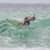 Got Barreled surf photos Snapper Rocks by Alan Minifie