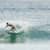 Got Barreled surf photos Duranbah Beach (D-bah) by Brenda Cruz