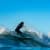 Got Barreled surf photos Broulee South by Luke Porter