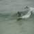 Got Barreled surf photos The Pass by Saki Muramatsu