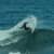 Got Barreled surf photos Lefthanders (Lefties) by Paz Goren