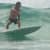 Got Barreled surf photos Burleigh Heads by Oscar Codoceo
