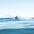 Got Barreled surf photos Duranbah Beach (D-bah) by Jack Paterson