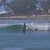 Got Barreled surf photos Rainbow Bay by Shunsuke Ogino