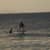 Got Barreled surf photos Rainbow Bay by Remy Bouvier