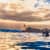 Got Barreled surf photos Snapper Rocks by Simon Garrett