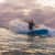 Got Barreled surf photos Snapper Rocks by Simon Garrett