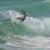 Got Barreled surf photos Duranbah Beach (D-bah) by Alan Minifie