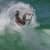 Got Barreled surf photos Duranbah Beach (D-bah) by Alan Minifie