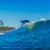 Got Barreled surf photos Duranbah Beach (D-bah) by Simon Garrett
