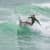 Got Barreled surf photos Duranbah Beach (D-bah) by Alan Minifie