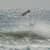 Got Barreled surf photos Duranbah Beach (D-bah) by Pedro  Corsato