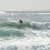 Got Barreled surf photos Duranbah Beach (D-bah) by Pedro  Corsato