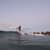 Got Barreled surf photos Rainbow Bay by Jade Jardine
