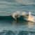 Got Barreled surf photos Kirra by Pedro  Corsato