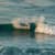 Got Barreled surf photos Kirra by Pedro  Corsato