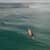 Got Barreled surf photos Greenmount by Drift Collective