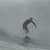 Got Barreled surf photos Duranbah Beach (D-bah) by Alan Minifie