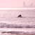 Got Barreled surf photos Greenmount by Joy Cossuto
