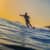 Got Barreled surf photos Snapper Rocks by Simon Garrett
