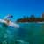 Got Barreled surf photos Snapper Rocks by Simon Garrett